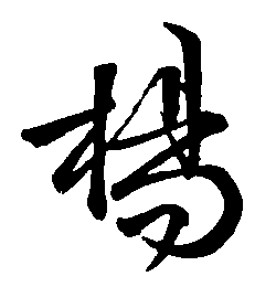 杨（楊）